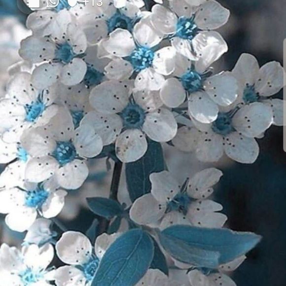 Meet your Posher, Geovanna - Picture 1 of 1